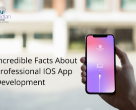 Facts About Professional ios App development - Meridian