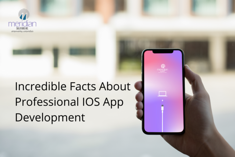 Facts About Professional ios App development - Meridian